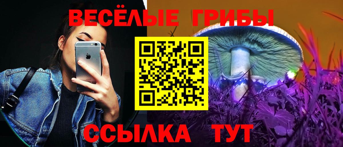 Псилоцибиновые грибы Psilocybine cubensis  Галлюциногенные грибы ЛСД  Вход с VPN  Мытищи 
